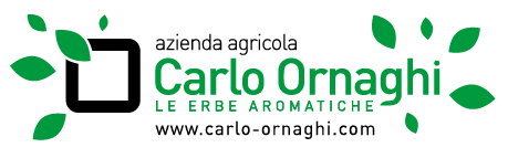 carlo-ornaghi.com